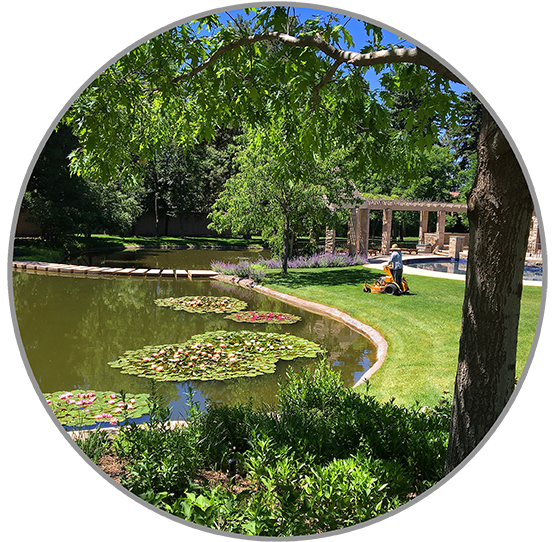 Landscape Property Maintenance